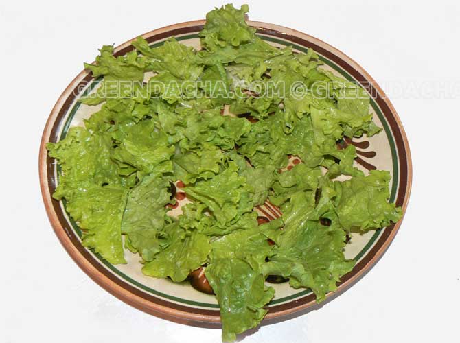 На блюдо укладываем листья салата.