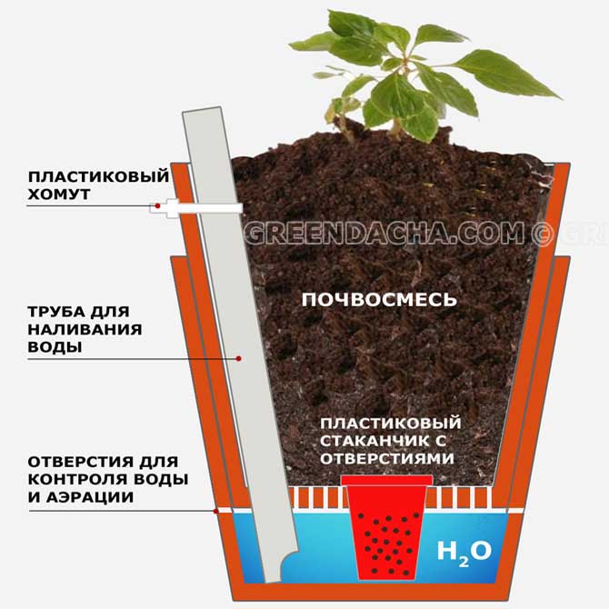 Схема системы капиллярного выращивания растений в двух ведрах.