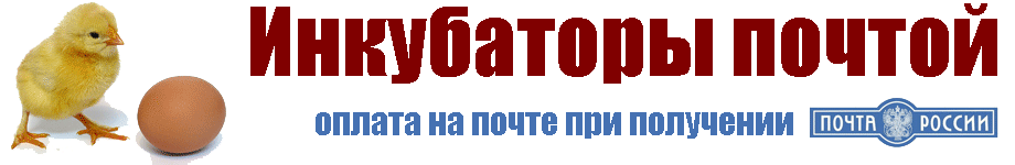 Инкубаторы почтой