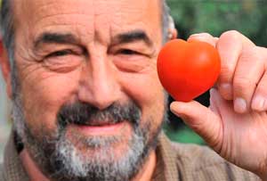 Фермер обнаружил томат по форме напоминавший сердце.