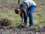 Подготовка почвы к посадке весной