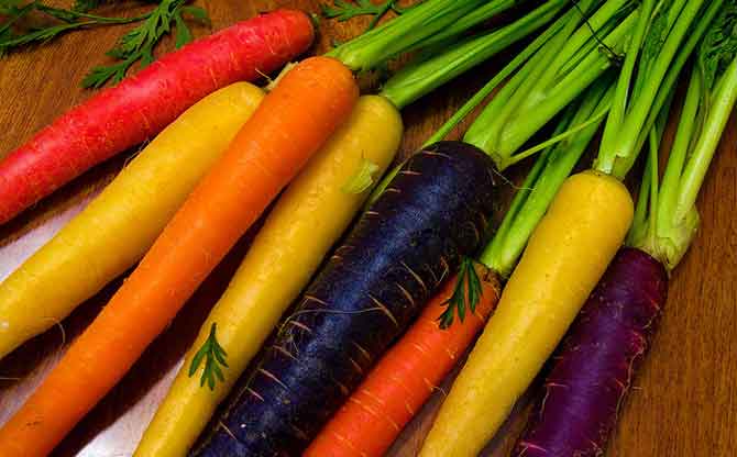 Разноцветная морковь.