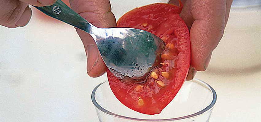 Ложкой достаем семена томатов.